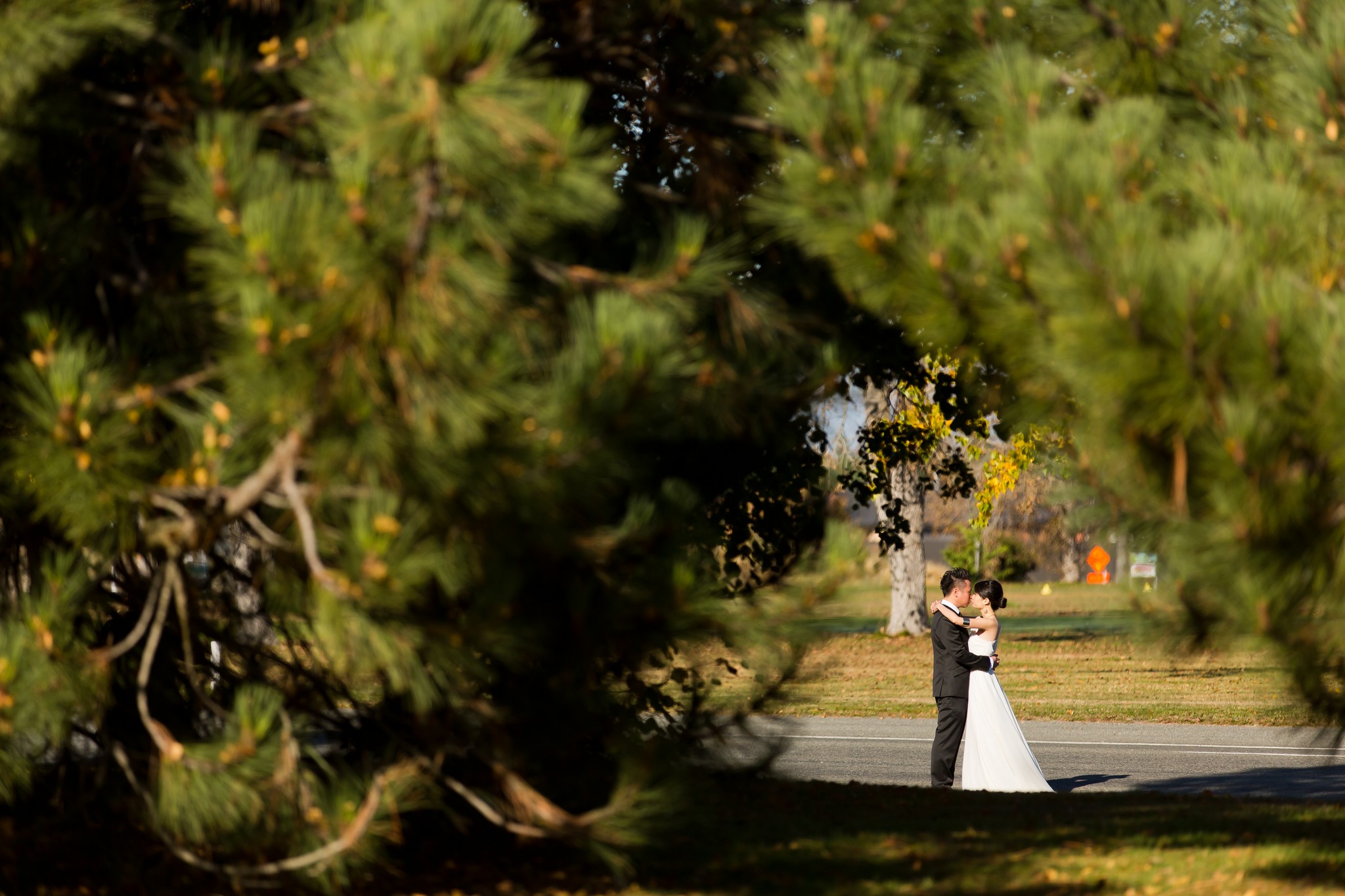 pre wedding photography