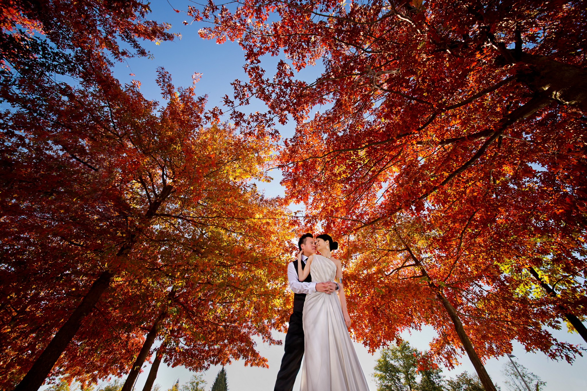 Wedding Photography singapore